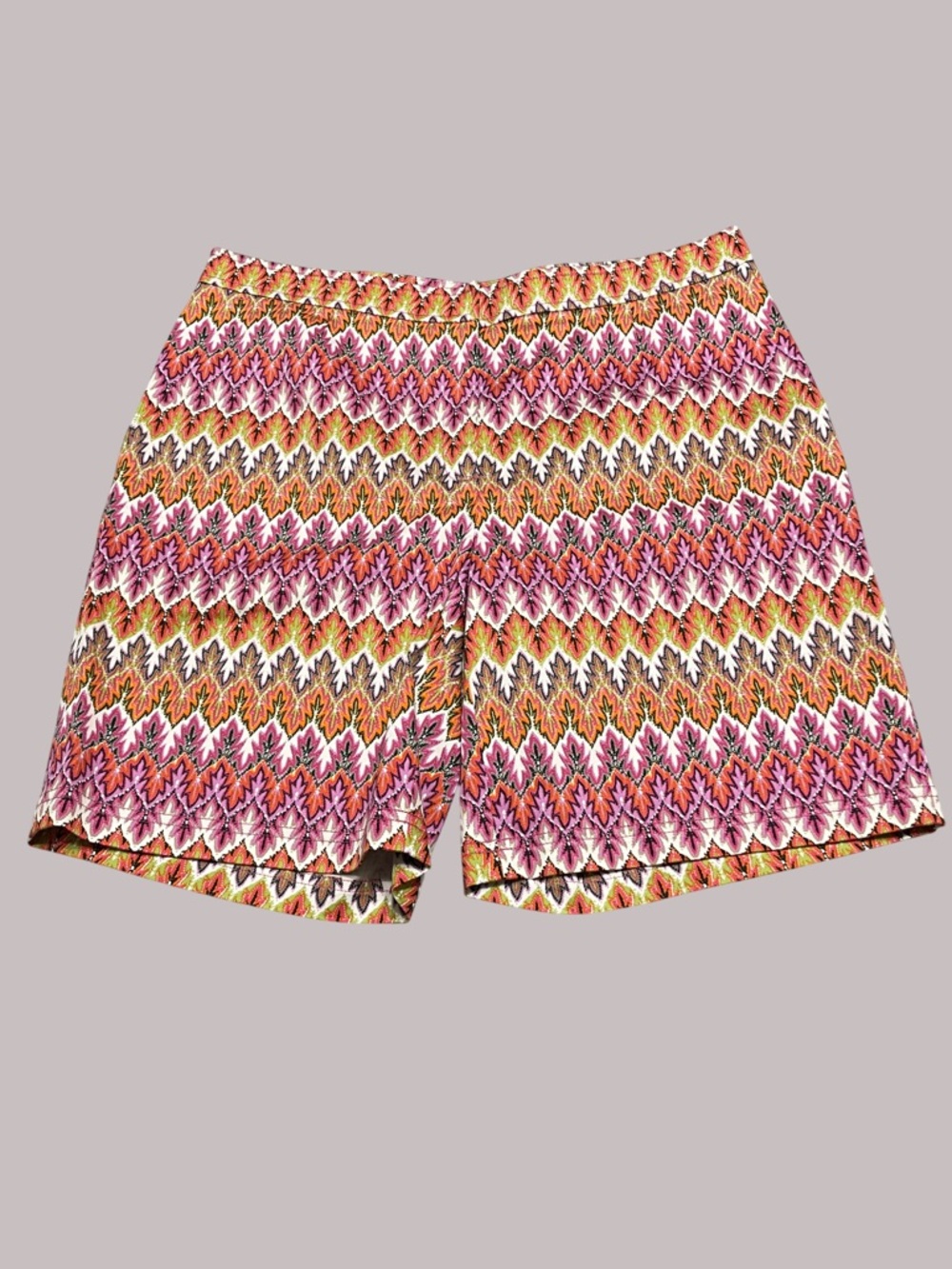 NWT Doncaster Collection Multicolor Zigzag Shorts Women’s 14 Casual Vacation